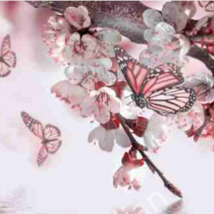 Фотошпалери №70 Сакура+бабочки (в тубі)