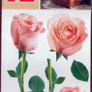 Декоративна наліпка ArtDecor №12 Розовые розы